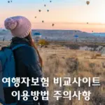 여행자 보험 비교 사이트를 이용하는 방법과 주의점