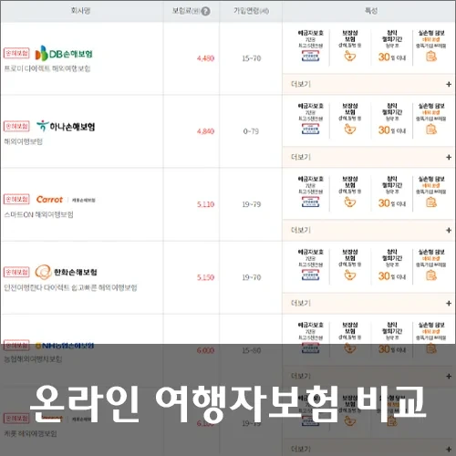온라인 여행자보험 비교 사이트 5곳