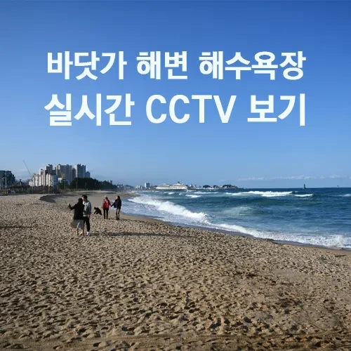 전국 해변 해수욕장 CCTV 실시간 보기