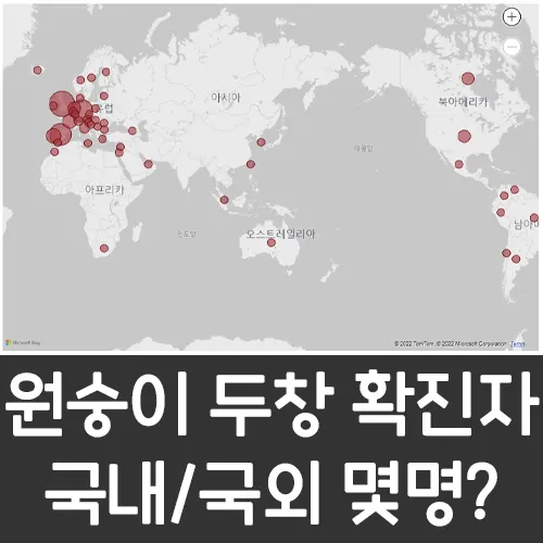 원숭이 두창 확진자수 확인 (국내/국외)
