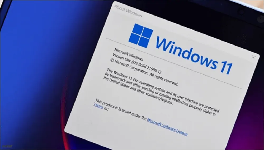 윈도우 11 개발자 버전 다운로드